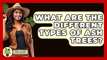 What Are The Different Types Of Ash Trees? - The Plant Enthusiast