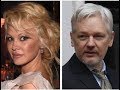 FBI WANTS TO PROBE PAMELA ANDERSON FOR RELATIONSHIP WITH JULIAN ASSANGE! SUPPORT MY WORK! https://www.patreon.com/gotchanewsnetwork Thank you!