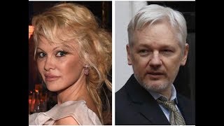 Fbi Wants To Probe Pamela Anderson For Relationship With Julian Ange