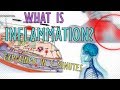 What is Inflammation? Inflammatory Response - PRR - Explained in 5 Minutes!