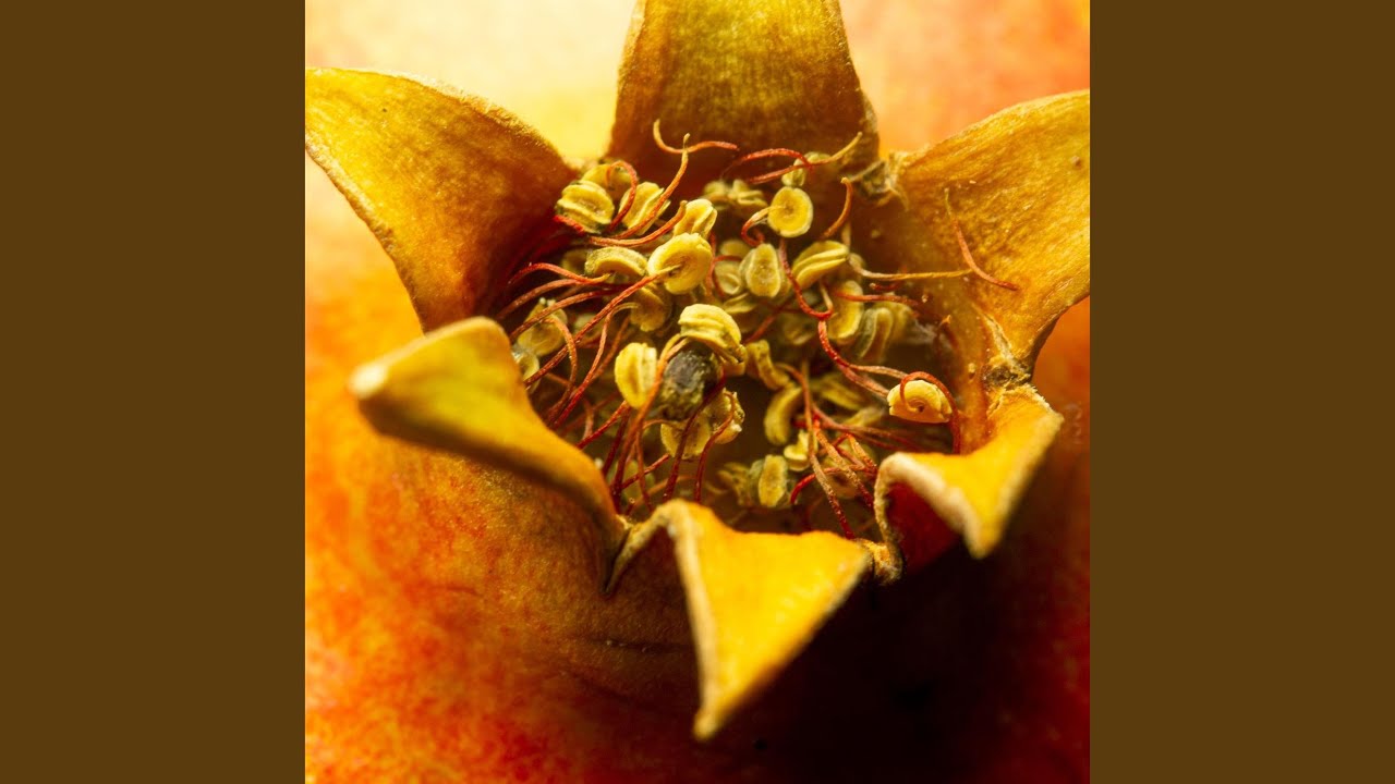 Breath of Eternal Gold