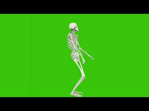 Green screen skeleton dance