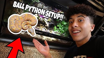 (INSANE) New 40 GALLON Bioactive Ball Python Setup!!