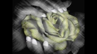 LUIS - SVE SE OSIM TUGE DELI