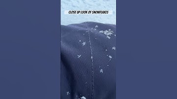 Close up look of snowflakes #shorts #trend #snowflakes #snow #shortsvideo #winter #winterseason