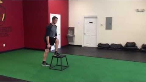 Step Up with Hip Flexion