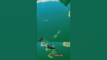 سورة المائدة وكا.نك تسمعها لأو.ل مر.ة ❣️.،💗🏵️💟؛؛🌷❤️💮بصوت الشيخ حمزة مدبو.ح💔🌻؛؛🌺،💘🏵️،.🌼💚
