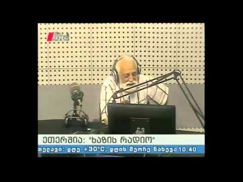 \'ხაზის რადიო\' 18.06.14 მერაბ ელიოზიშვილი-80