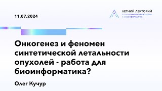 : 11.07.2024 |     