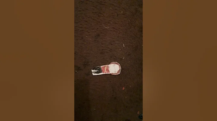 Byng public school lip dub