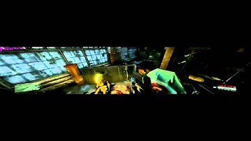 Crysis 2 video problem.