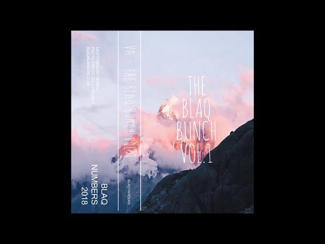 B11. DOS - Tonite (BLAQTAPES003)