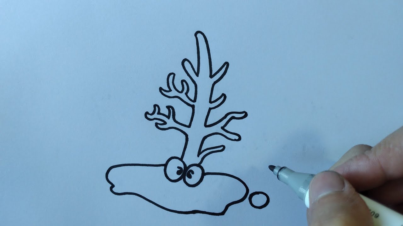 Cómo dibujar UN coral/How to draw coral - thptnganamst.edu.vn