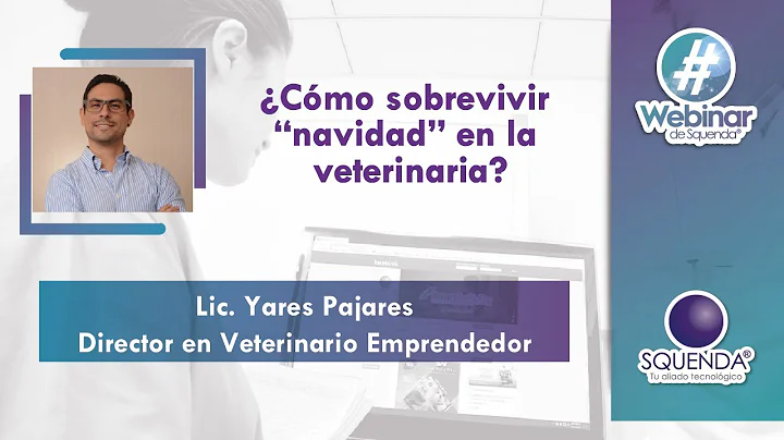 Cmo Sobrevivir Navidad En La Veterinaria?  - Lic. ...