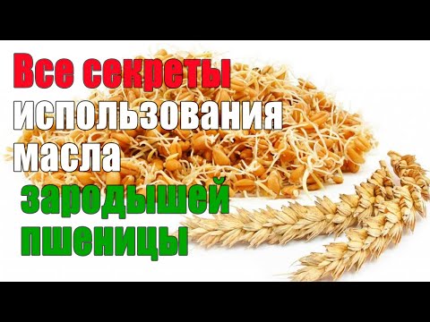 Видео: Как принимать масло зародышей пшеницы: 10 шагов (с иллюстрациями)