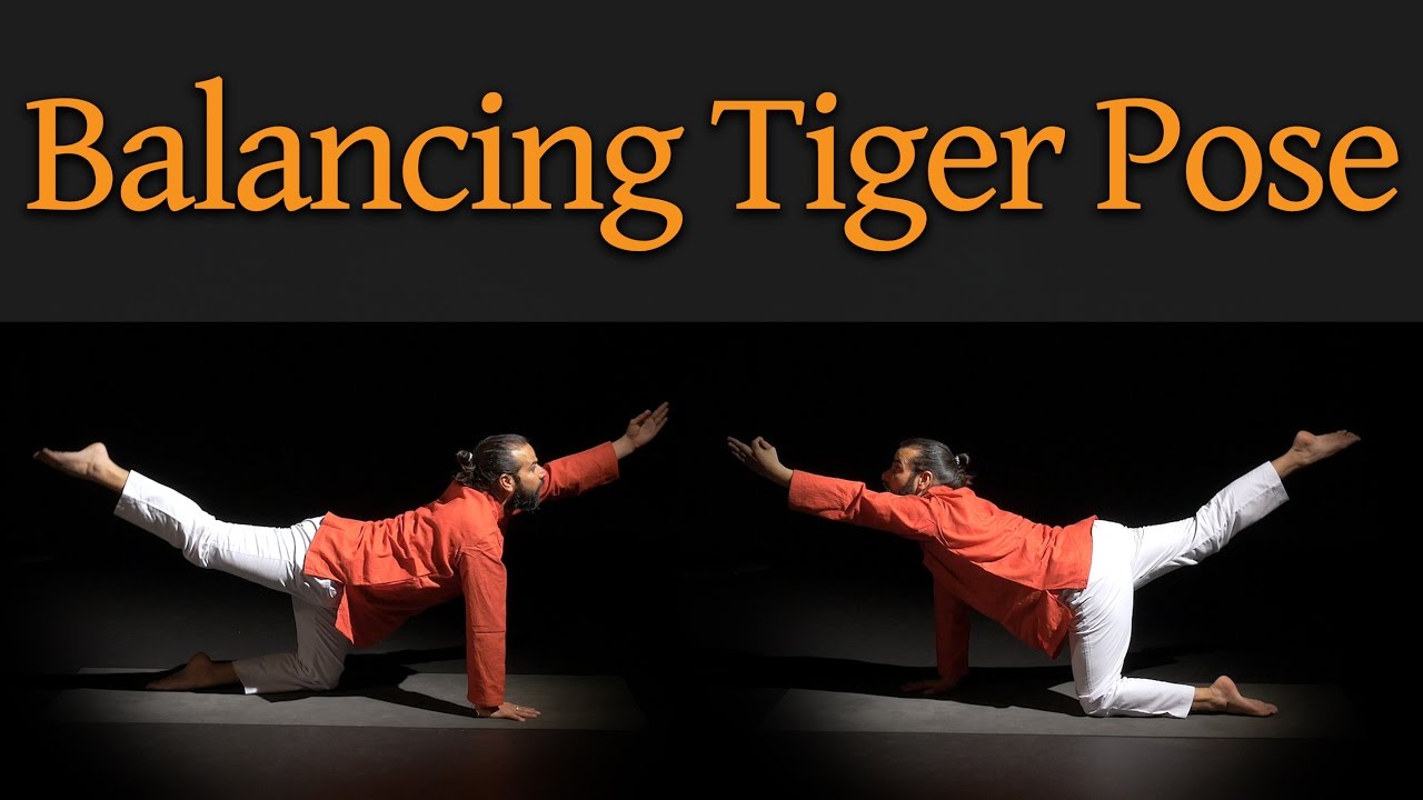 How To Do Balancing Tiger Pose Yogasana 282 283 Youtube