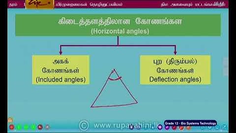 A/L Bio Systems Technology | Tamil Medium | 2021-01-12