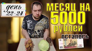 видео: Питаюсь месяц на 5000 рублей. Зима 2025 год. День 22-24 картинка: Питаюсь месяц на 5000 рублей. Зима 2025 год. День 22-24