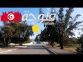 Rades bridge and forest tunisia  4k 