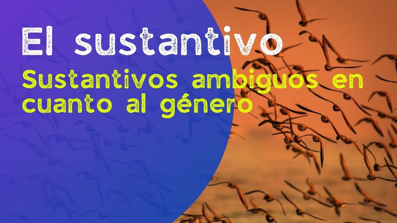 El Sustantivo Sustantivos Ambiguos En Cuanto Al Género Y Epicenos El