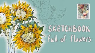 SKETCHBOOK TOUR and Drawing Process