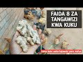 Faida 8 Za Tangawizi Kama Tiba Ya Asili Kwa Kuku