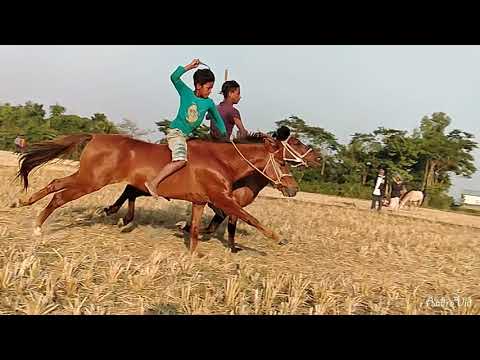 দেখুন ঘোড়া দৌড় প্রতিযোগিতা, সুনামগঞ্জ।