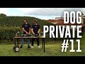 Dubdogz- DOGPRIVATE #11 (BENTO GONÇALVES/VINÍCOLA MIOLO)