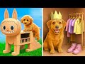 🐶✨😲 From Cardboard To Cozy 🛠️ Puppy DIY World