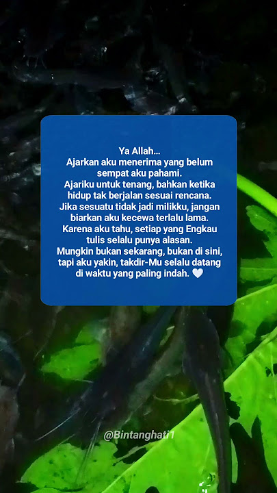 Tentang Takdir & Ketenangan Hati #shorts #fromkatabijak #katabijakcinta