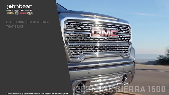 Introducing John Bear From Home | John Bear Hamilton