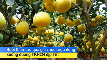 Bưởi Diễn trĩu quả giá chục triệu đồng xuống đường TP.HCM dịp Tết