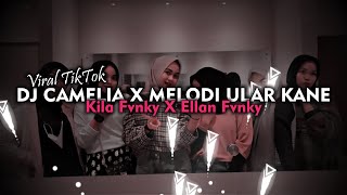 DJ CAMELIA X MELODI ULAR (BOOTLEG) KANE VIRAL TIKTOK 2023