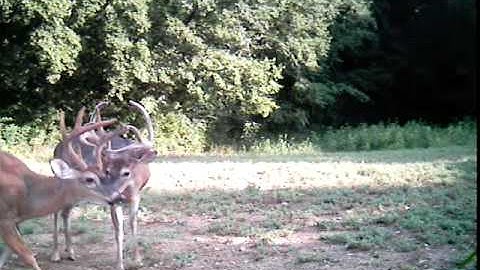 Big 8 video from Leaf River iR-7SS
