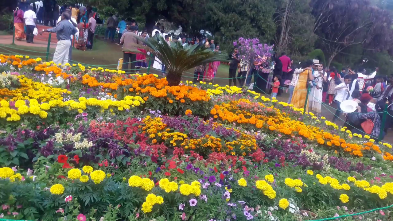 Goverment Botanical Garden, Ooty during flower show 2017. YouTube