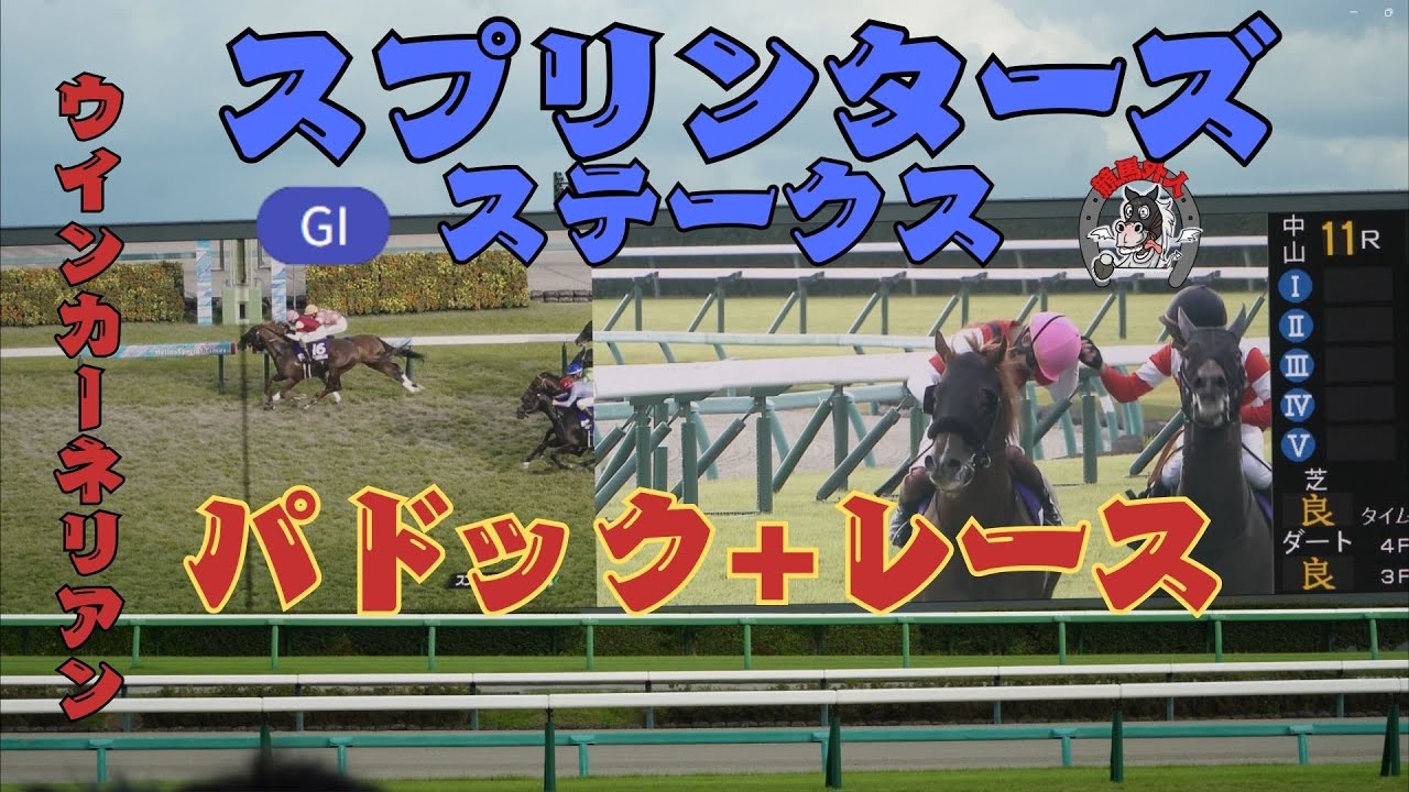 現地映像【G1スプリンターズS】パドックからレースまで！ウインカーネリアンが大金星！🏇競馬外人！#keibagaijin #競馬 #スプリンターズステークス