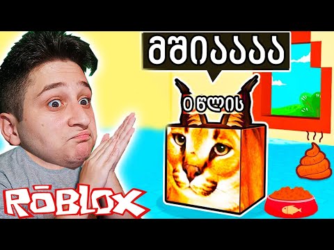 კატა ფლოპას ოჯახი raise a floppa roblox ubralod noobi