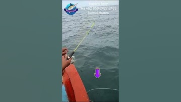 Thumbnail of PANIK ‼️ STRIKE IKAN BESAR 😱 #shortvideo #fishing #mancing