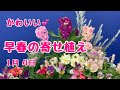かわいい早春の寄せ植え