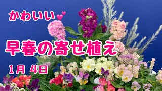 かわいい早春の寄せ植え