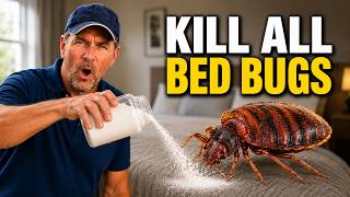 5 Bed Bug Tricks Exterminators Don’t Want You to Know