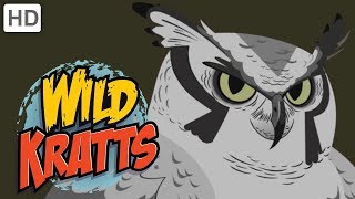 Wild Kratts  Feathered Friends