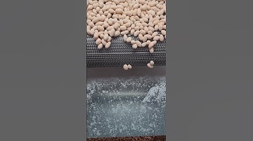 Nuts Roasting Machine #shorts