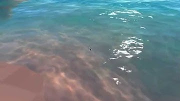 BGE water/underwater shader (WIP)