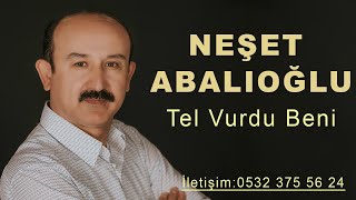 Neşet Abalıoğlu Tel Vurdu Beni Resimi