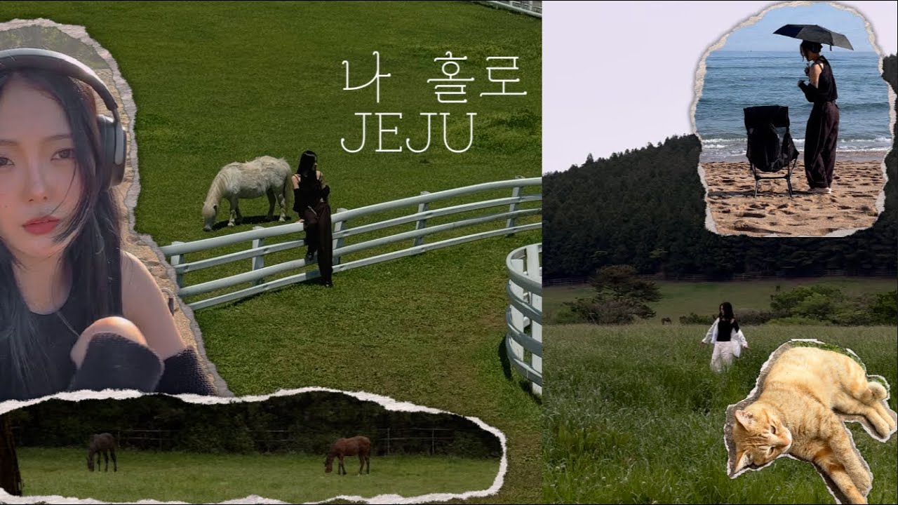 [VLOG] 제주도 혼자 여행✨힐링 일지 #3 제주 남쪽, 동쪽 코스🌴제주 1인 찐맛집, 포토 스팟, 힐링 명소