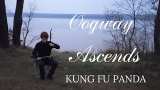 Kung Fu Panda OST - Oogway Ascends - Erhu二胡 Cover by Nicolas Vasin.