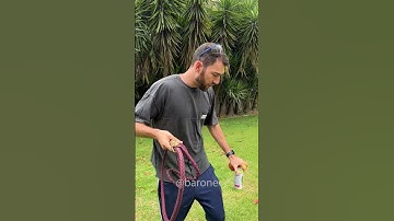 Thumbnail of Impresionante la potencia de este látigo para adiestrar búfalos