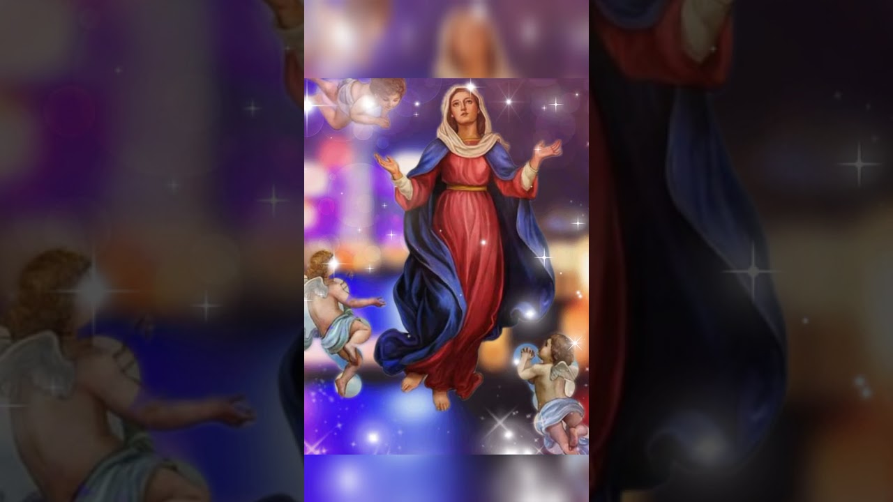 Happy feast of assumption of our blessed mother mary ❤ August 15