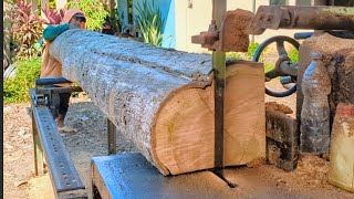 Insiden Kecil Terjadi !! Kayu jati digergaji mesin bandsaw rakitan